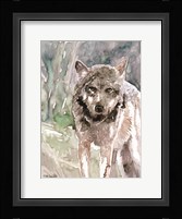 Pacific Coast Wildlife 1 Framed Print
