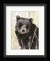 Pacific Coast Wildlife 4 Framed Print