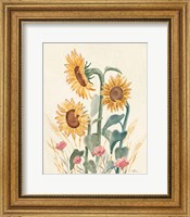 Sunflower Season IX Bright Fine Art Print