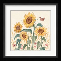 Sunflower Season III Bright Framed Print