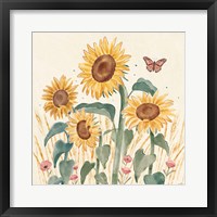 Sunflower Season III Bright Framed Print