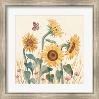 Sunflower Season II Bright Fine Art Print