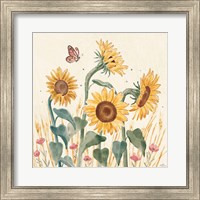 Sunflower Season II Bright Fine Art Print