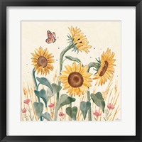 Sunflower Season II Bright Framed Print