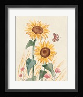 Sunflower Season VIII Bright Framed Print