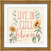 Sunflower Season VI Bright Fine Art Print