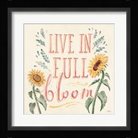 Sunflower Season VI Bright Framed Print