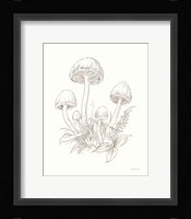 Nature Sketchebook IX Fine Art Print