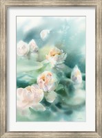 Water Lily II Fine Art Print