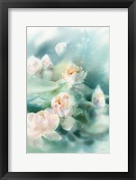Water Lily II Framed Print