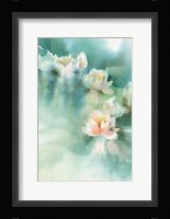 Water Lily I Framed Print