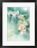 Water Lily I Framed Print