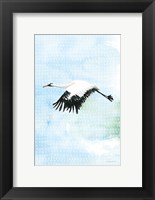 Crane in Flight II Fine Art Print