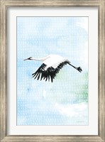 Crane in Flight II Fine Art Print