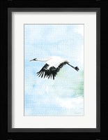 Crane in Flight II Framed Print