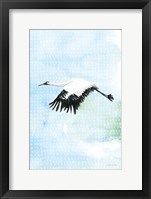 Crane in Flight II Framed Print