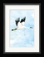 Crane in Flight I Framed Print