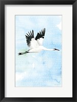 Crane in Flight I Framed Print