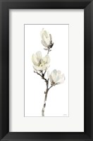 White Magnolia I Fine Art Print