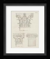 Italian Volute Framed Print