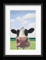 Funny Cow Fine Art Print