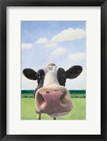 Funny Cow Framed Print