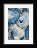 Matununk Shells Tan Fine Art Print