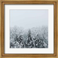 Snowshoe Hill Deep Crop Fine Art Print