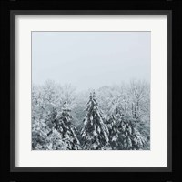 Snowshoe Hill Deep Crop Fine Art Print