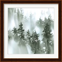 Misty Forest I Green Fine Art Print
