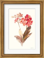 Autumn Orchid II Fine Art Print