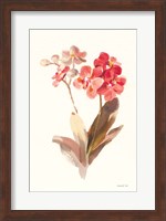 Autumn Orchid II Fine Art Print