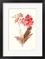 Autumn Orchid II Fine Art Print