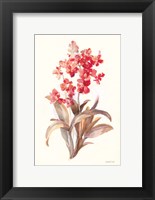 Autumn Orchid I Fine Art Print