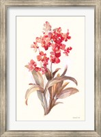 Autumn Orchid I Fine Art Print