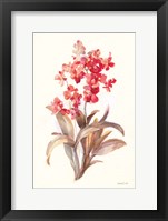 Autumn Orchid I Fine Art Print
