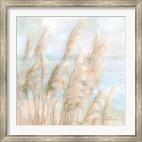 Seaside Pampas Grass Light Crop Fine Art Print