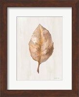 Fallen Leaf II Texture Fine Art Print