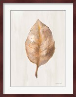 Fallen Leaf II Texture Fine Art Print