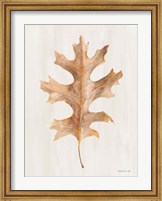 Fallen Leaf I Texture Fine Art Print