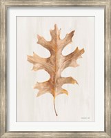 Fallen Leaf I Texture Fine Art Print