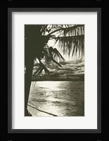 Palm Beach II Framed Print