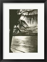 Palm Beach II Framed Print