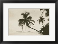 Palm Beach I Framed Print