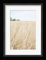 On the Edge III Fine Art Print