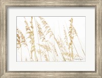 Blowing in the Wind II Fine Art Print