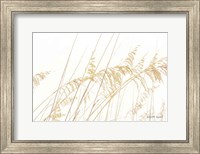 Blowing in the Wind I Fine Art Print