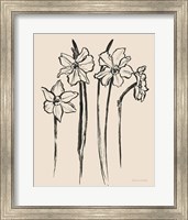 Ink Sketch Daffodils Fine Art Print