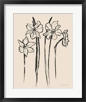 Ink Sketch Daffodils Fine Art Print
