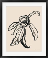 Ink Sketch Flower Fine Art Print